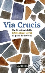 Via Crucis. Meditazioni dalla Christus vivit. Ediz. a caratteri grandi libro