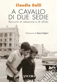 A cavallo di due sedie. Racconti di adozione e di affido libro