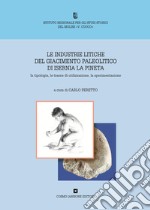 Le industrie litiche del giacimento paleolitico di Isernia La Pineta libro