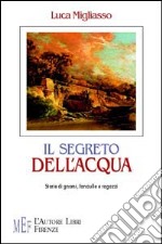 Il segreto dell'acqua. Storie di gnomi, fanciulle e ragazzi libro