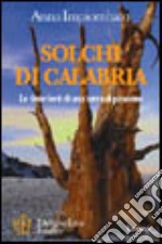 Solchi di Calabria. Le tinte forti di una terra di passione libro