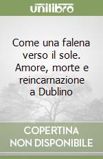 Come una falena verso il sole. Amore, morte e reincarnazione a Dublino libro