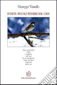 Istanti: piccoli pensieri dal caos libro