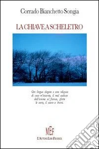 La chiave a scheletro libro
