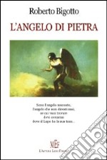 L'angelo di pietra libro