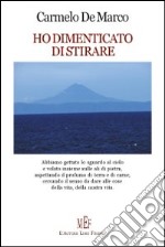 Ho dimenticato di stirare libro