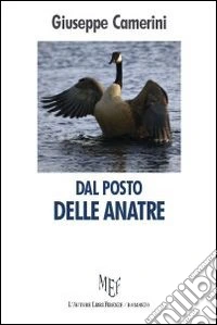 Dal posto delle anatre