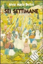 Sei settimane. Una bellissima «avventura» in un centro estivo libro