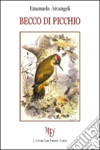 Becco di picchio