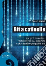 Bit a catinelle. I segreti di mappe, motori di ricerca, password e altre tecnologie quotidiane libro