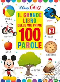 Il grande libro delle prime 100 parole