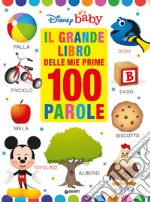 Il grande libro delle prime 100 parole libro