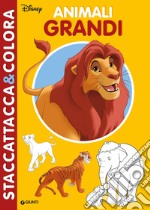 Animali grandi. Il Re Leone. Staccattacca&colora, Con adesivi. Ediz. a colori libro