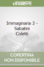 Immaginaria 3 - Sabatini Coletti libro