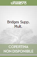 Bridges Supp. Mult. libro