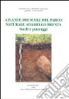 Atlante dei suoli del parco naturale Adamello-Brenta. Suoli e paesaggi libro