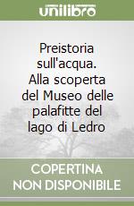 Preistoria sull'acqua. Alla scoperta del Museo delle palafitte del lago di Ledro