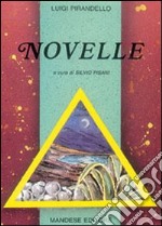 Novelle libro