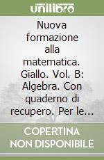 Nuova formazione alla matematica. Giallo. Vol. B: Algebra. Con quaderno di recupero. Per le Scuole superiori. Con CD-ROM. Con espansione online. Vol. 2 libro