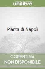 Pianta di Napoli libro