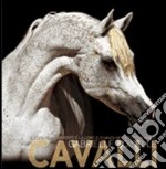 Cavalli. Ediz. illustrata libro