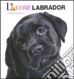 L come labrador libro