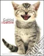 Gattini & gattini. Ediz. illustrata libro