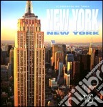 New York New York. Ediz. illustrata libro