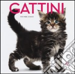 Gattini libro