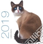 Gatti. Calendario da muro 2019 libro