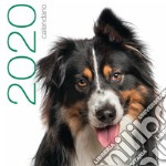 Cani. Calendario da muro 2020 libro