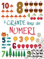 Il grande libro dei numeri. Ediz. a colori libro