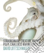 Straordinarie creature marine: polpi, cavallucci marini e meduse. Ediz. illustrata