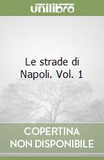 Le strade di Napoli. Vol. 1 libro