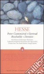 Peter Camenzind-Gertrud Rosshalde-Demian libro