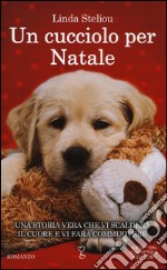 Un cucciolo per Natale