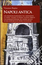 Napoli antica. Una splendida passeggiata tra i monumenti, le chiese, i palazzi, le strade, i luoghi perduti e le leggende popolari del centro antico di una città ricca di storia e di cultura libro