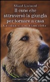 Il cane che attraversò la giungla per tornare a casa. L'incredibile storia vera del piccolo Arthur libro di Lindnord Mikael