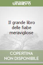 Il grande libro delle fiabe meravigliose libro