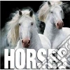 Horses libro