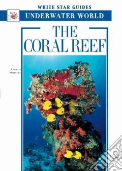 The coral reef