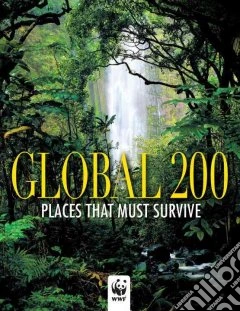 Global 200. Ediz. inglese