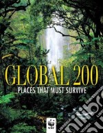 Global 200. Ediz. inglese libro