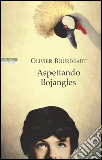 Aspettando Bojangles libro