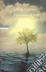 Fissando il sole libro