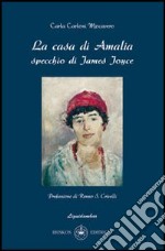 La casa di Amalia. Specchio di James Joyce