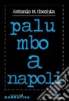 Palumbo a Napoli libro