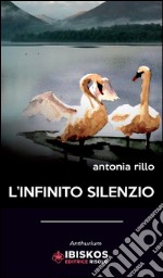 L'infinito silenzio libro