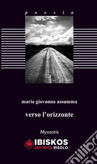 Verso l'orizzonte libro