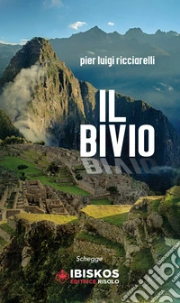 Il bivio libro